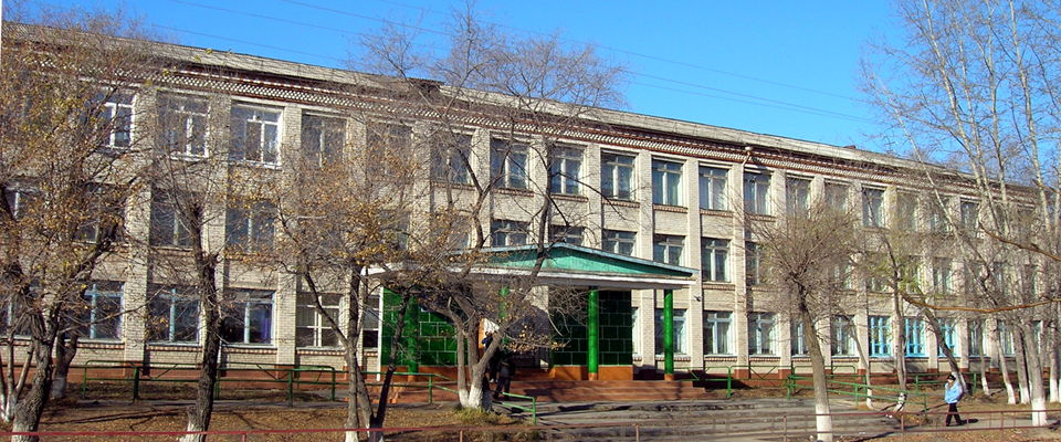 В г. Свободный появилась первая архитектурная подсветка школы российским триколором